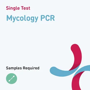 Mycology PCR