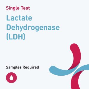 5840 lactate dehydrogenase ldh