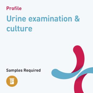 6476 urine examination culture