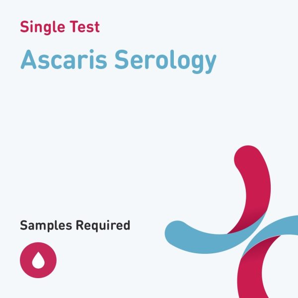6528 ascaris serology