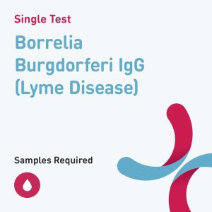 6532 borrelia burgdorferi igg lyme disease