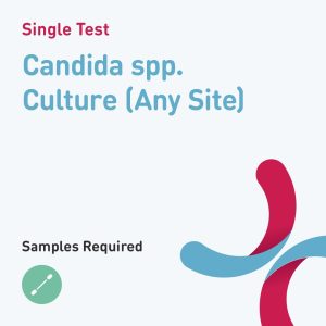 6540 candida spp culture any site