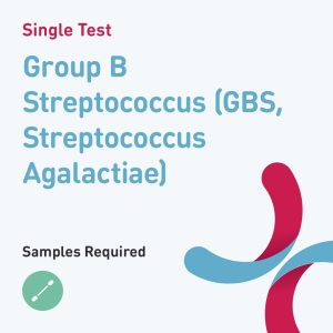 6572 group b streptococcus gbs streptococcus agalactiae