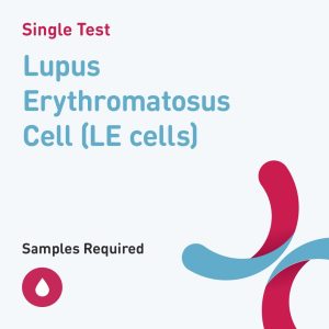 6595 lupus erythromatosus cell le cells