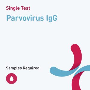 6605 parvovirus igg