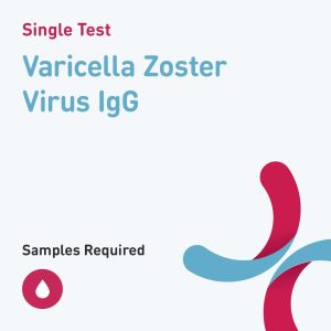 6642 varicella zoster virus igg
