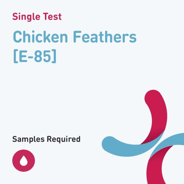 7270 chicken feathers e 85