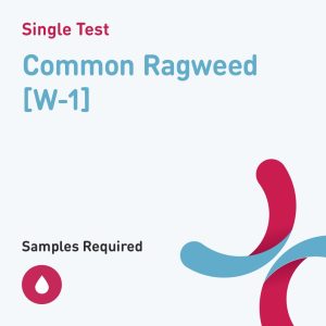 7277 common ragweed w 1