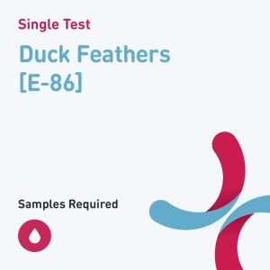 7287 duck feathers e 86