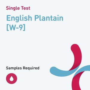 7291 english plantain w 9