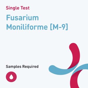 7297 fusarium moniliforme m 9