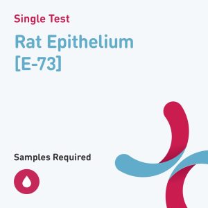 7390 rat epithelium e 73