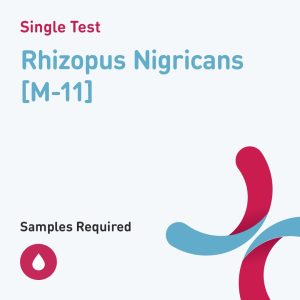 7395 rhizopus nigricans m 11