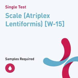 7401 scale atriplex lentiformis w 15