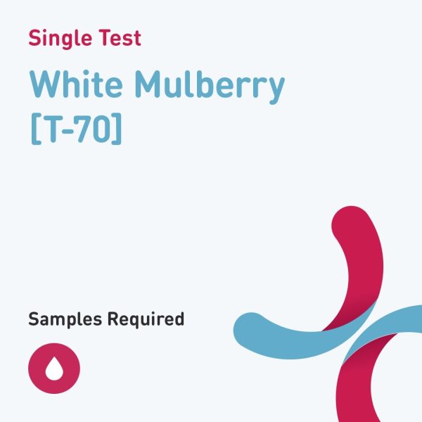 7426 white mulberry t 70