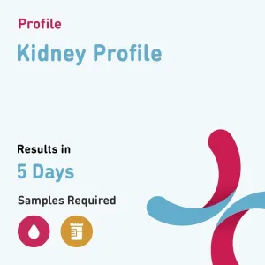 89584-kidney-profile